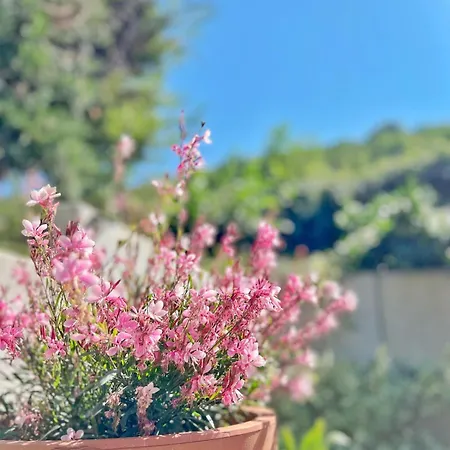 La Maison Des Orchidees- Calme&confort- * Westhalten