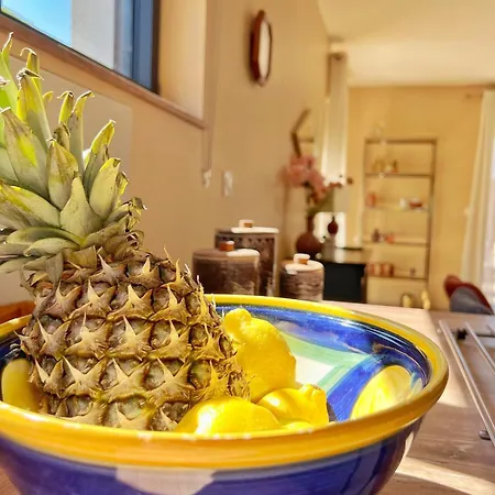 Maison Moderne Avec Jardin Au Coeur Du Vignoble * Westhalten