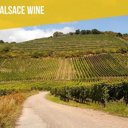 Maison Moderne Avec Jardin Au Coeur Du Vignoble Prázdninový dům