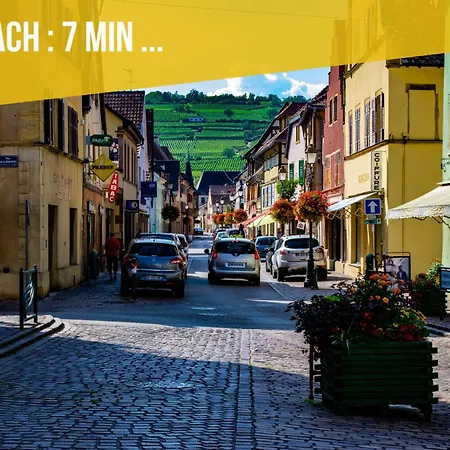 Maison Moderne Avec Jardin Au Coeur Du Vignoble Westhalten
