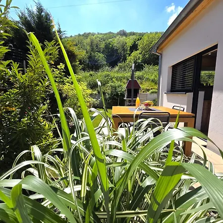 Holiday home La Maison Des Orchidees- Calme&confort- Westhalten